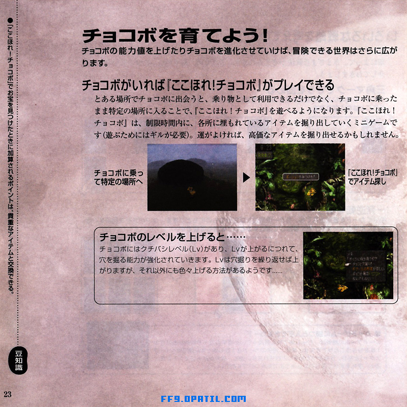 Ff9の説明書 P23 P24 ファイナルファンタジー9 完全攻略 Final Fantasy Ix ゲーム攻略メモ